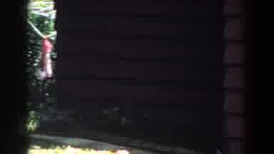 Brighton Michigan (1960): Grass View Garden Rocks Wall Old Movie