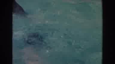 North Hollywood California (1961): A Boy Playing And Swimming In A Swimming Pool