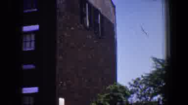 Saint Louis Missouri (1964): View Of Brown Building And Green Tree On A Clear