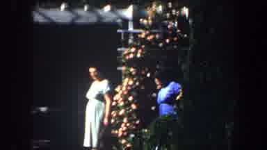 Saint Louis Missouri (1964): Her Favorite Spot Inside The Public Garden Park in