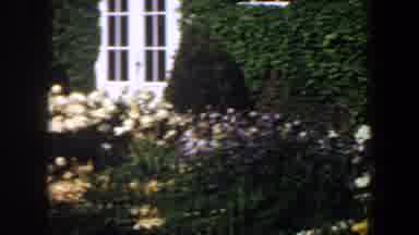 Saint Louis Missouri (1964): A Big Garden With A Lot Of Type Of Flowers And Some