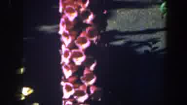 Saint Louis Missouri (1964): Video Of Metal Piece Of Art Shot From A Window Then