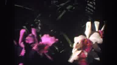 Saint Louis Missouri (1964): Dark Image Of Many Pink Red And White Orchids And A