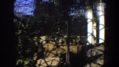 Saint Louis Missouri (1964): Watching A Beautiful Stream In The Middle Of Many
