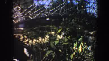 Saint Louis Missouri (1964): Bridge Path In Car At Low Speed During A Beautiful