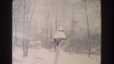 Dearborn Michigan (1961): Winter Scene In The White Woods After A Good Snowfall