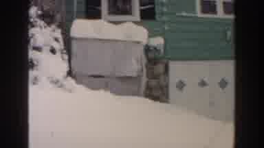 Dearborn Michigan (1961): People In The Green House Looking At The Snow Dropping