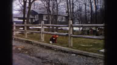 Dearborn Michigan (1961): Child Crawls Under Fence In Old School Film