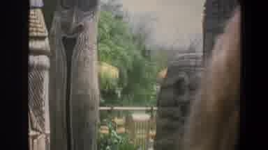 Walt Disney World Florida (1973): View Of Small Yellow Hut And Green Tree On A