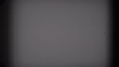 Lubbock Texas-1957: White Animal Runs Through Brown Field On A Clear Day