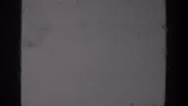 Lubbock Texas (1957): Grainy Black And White Blown Out Footage Of A Dog On The