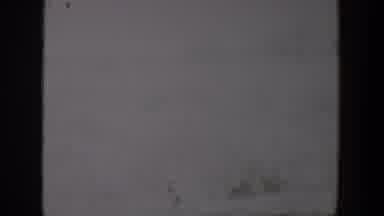Lubbock Texas (1957): A Vast Land With Log Of Grasses In The Daylight