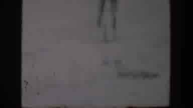 Lubbock Texas (1957): Dog Playing In The Garden And Rolling In The Grass With His