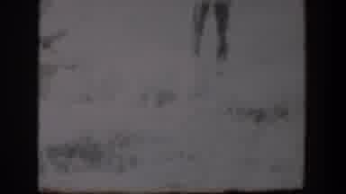 Lubbock Texas (1957): White Dog Helping His Master Hunt By Retrieving The Animals