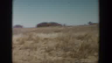 Lubbock Texas (1957): The Dry Prairie During A Beautiful Sunny Day Without Wind