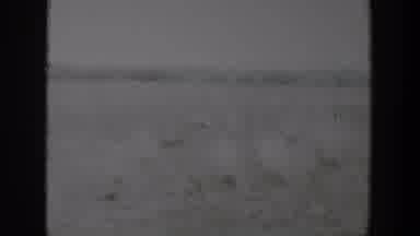 Lubbock Texas (1957): The Video Has Bad Quality Looking Like A Farm But All Is