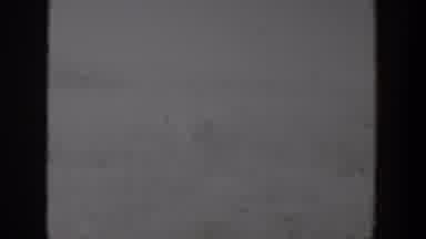 Lubbock Texas (1957): A Pair Of Female Lions Beginning Their Hunt To Feed Their