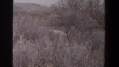 Lubbock Texas (1956): Man Wearing Green Jacket Walks Through Dried Tan Brush With
