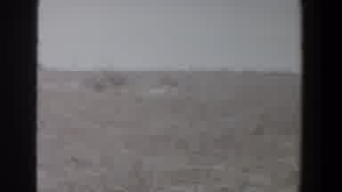 Lubbock Texas (1956): Shotgun Wielding Men Riding In Rear Of Prairie Hunting