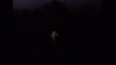 Lubbock Texas (1956): White Dog Stands In Field Wagging Tail On A Clear Day