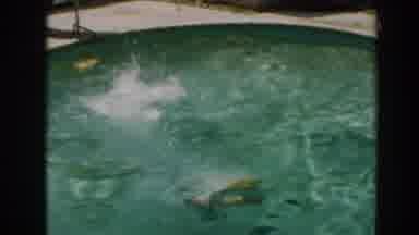 North Hollywood California (1961): Blonde Woman Diving Diving Board Pool Clean