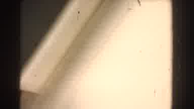 Dearborn Michigan (1960): Helicopter Flying Over A Large Water Body Descending