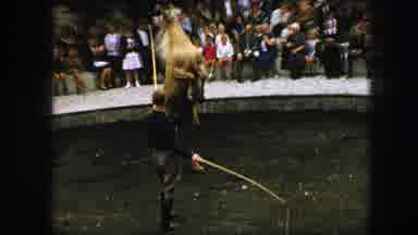 Austria (1963): Beautiful Horse Doing Magic Tricks