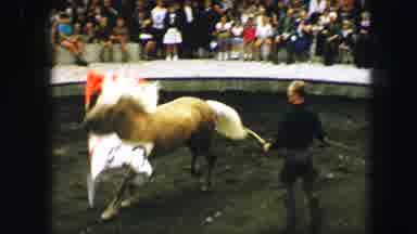 Austria (1963): Presenting: The Amazing Horse Circus Show