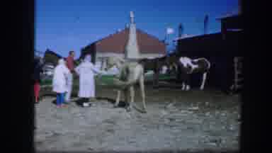 Fort Worth Texas (1964): A Group Of People At A Horse Ranch In A Corral Talking On