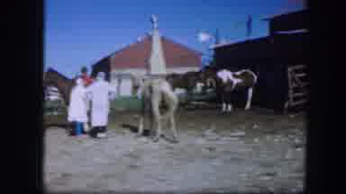 Fort Worth Texas (1964): A Group Of Horse Riders Getting Ready For A Race