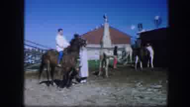 Fort Worth Texas (1964): Woman Riding A Horse And Other Horses Being Brushed At A