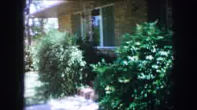 Lewisville Texas (1965): Archival Videos Of Three Men Having Fun In The Yard