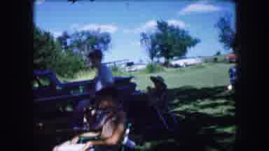 Lewisville Texas (1965): A Group Of People Having A Day At A Park Full Of Trees