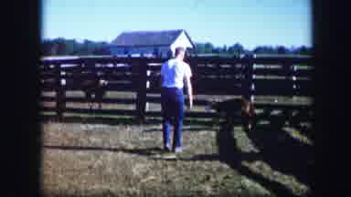 Kirksville Missouri (1967): A Man Tries To Catch A Dog On The Farm