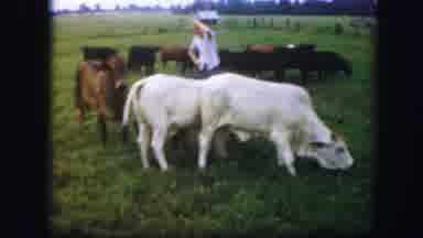 Kirksville Missouri (1967): Man Caring Of Exes On A Farm
