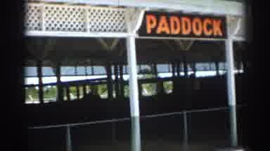 Sarasota Florida (1969): Paddock And Thoroughbred Display