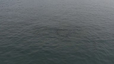 EAST CAPE BAJA CALIFORNIA SUR-2019: Body Of Water With Ripples That Is Possibly