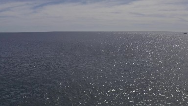 EAST CAPE BCS MEXICO-2019: Anonymous Sea Creature Rising To The Surface Of Open