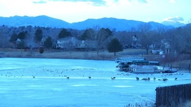 WESTMINSTER COLORADO-2015: A Large Amount Of Ducks Floating In A Medium Body Of Water