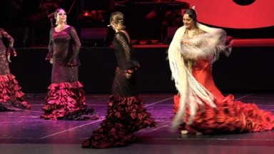Cabo San Lucas Mexico (2019): The Flamenco Dance is About To End