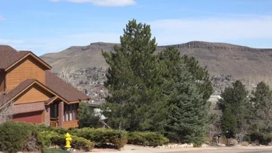 WESTMINSTER COLORADO-2015: A Lush Tree Gently Swaying Next To A Wooden House