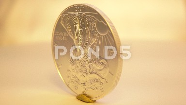 A Spinning Circular Gold Coin