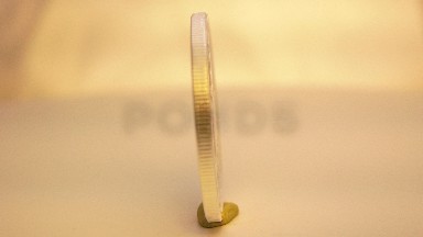 Shiny Gold Year Of The Goat Coin With Image Of A Goat Engraved On It
