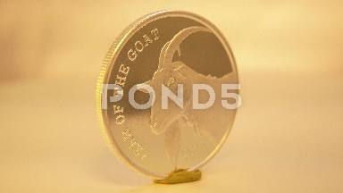 A Golden Coin With A Chinese Character On One Side And A Goat On The Other Side