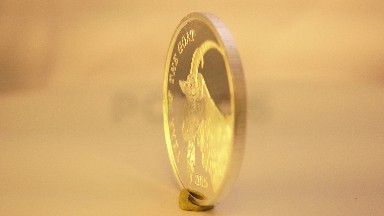 Gold Coin With A Chinese Character On One Side And A Goat On The Other Side