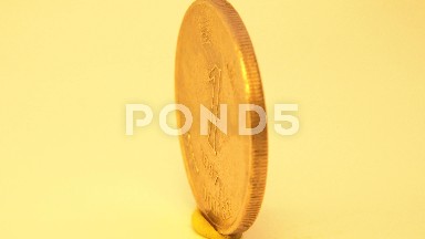 An Antidote Coin With The Symbol Of Three Different Animals On One Side The