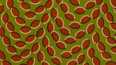 A Very Unique And Interesting Pattern Swirls Around In A Circle