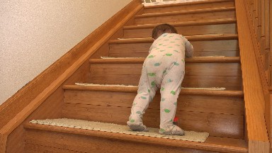WESTMINSTER COLORADO-2015: Baby Climbs Wooden Stairs in a Moment of Oneness