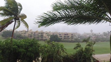 LOS CABOS MEXICO-2019: Storm In Tropical Urban Area Palm Trees Are Swaying In