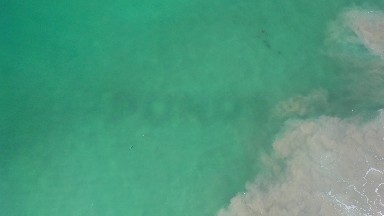 LOS CABOS MEXICO-2020: Ocean Shot With Fleeting Sea Life And Semi Cloudy Water